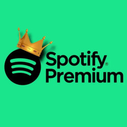 Spotify Premium  2m